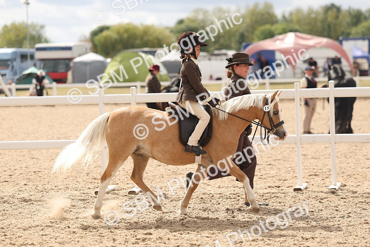 SBM_15760 - Class 309 - Lead Rein Pony
