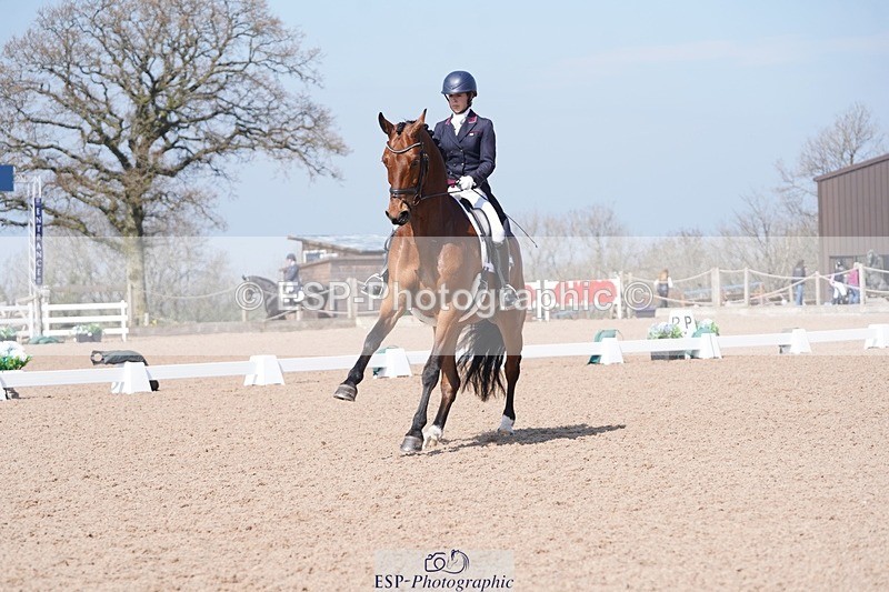 250404-122940-05668 - 028-Elizabeth.Allen-Heraldik