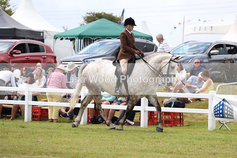 3E7A1881 - Class 10: Open Cob