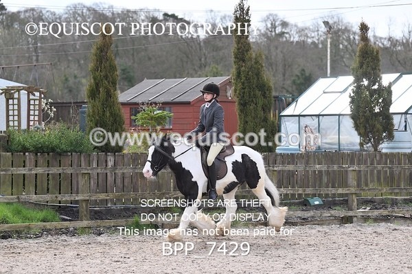 BPP_7429 - RING 1  (RIDDEN HORSES / IN HAND / VETERAN ETC)