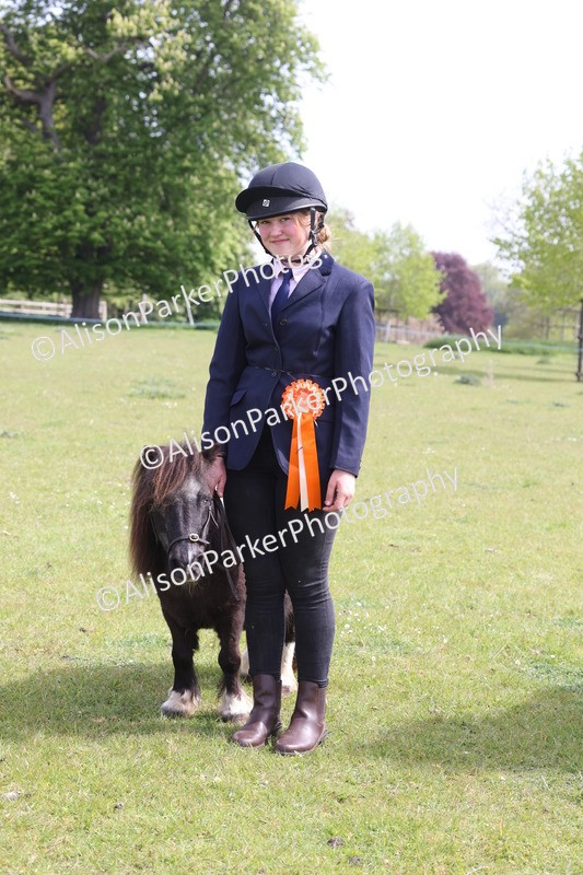 20260426-3226 - Class 26 - Shetland Ponies and Minitures