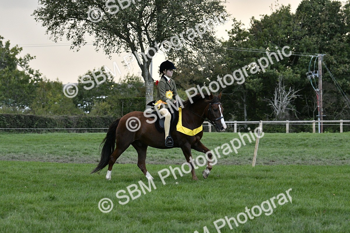 SBM_53301 - S14 - Riding Club Horse