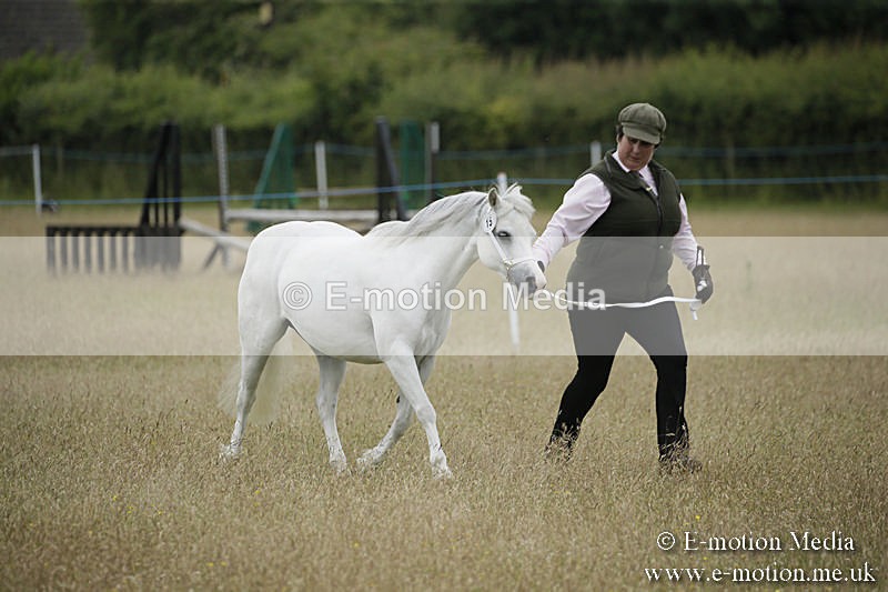 B230619-0536 - Bourne Valley Riding Club Summer Show 23/06/19