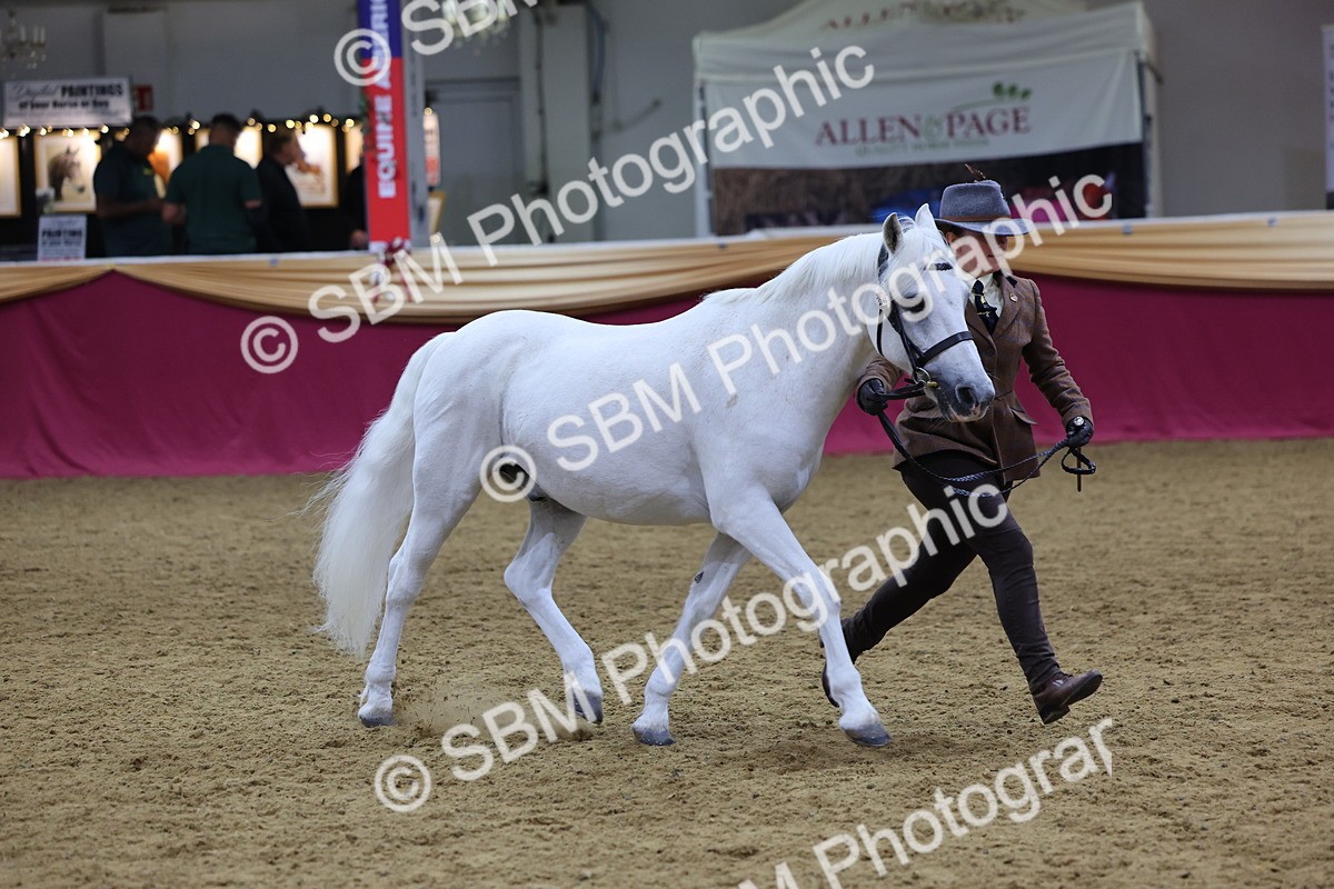 SBM_19531 - Class 901 - Supreme Final - IH Diamond