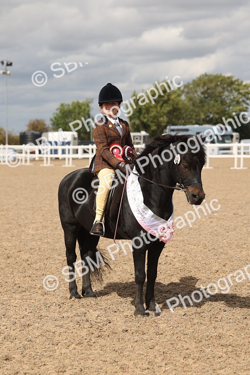 SBM_15918 - Class 310 - First Ridden Pony