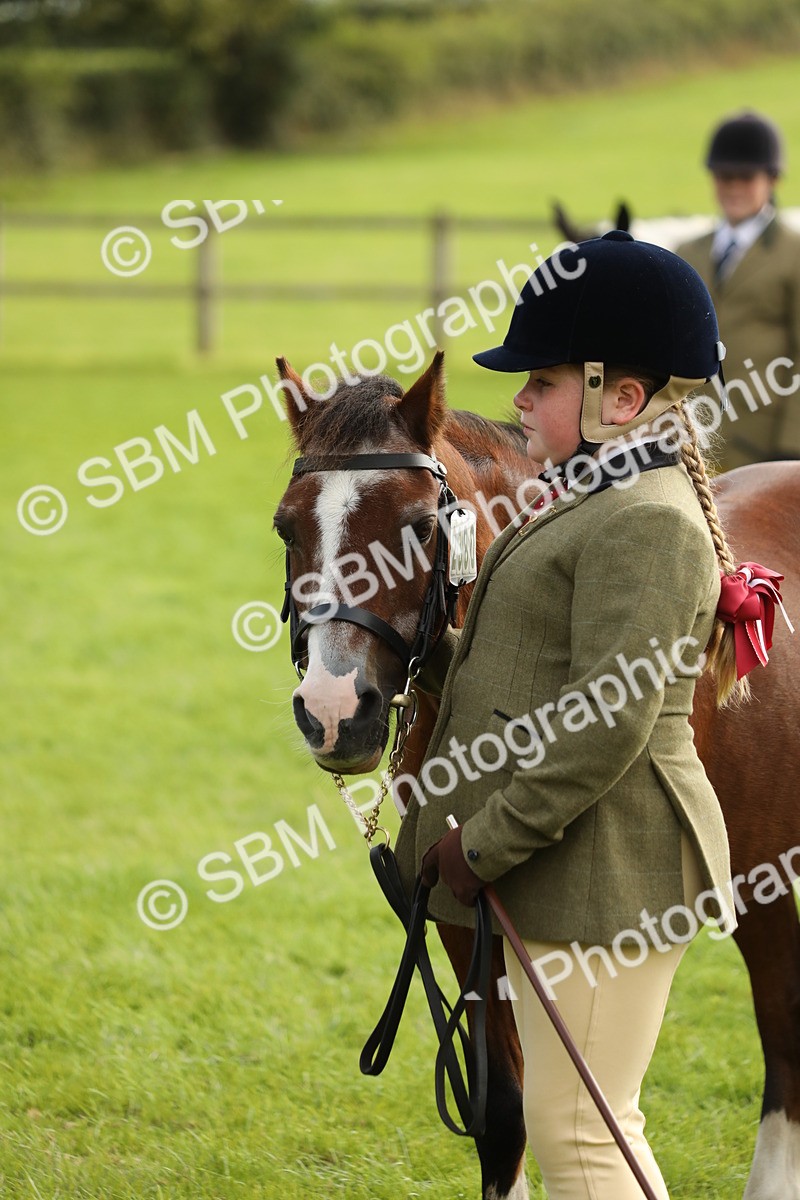 SBM_68709 - S40 - Junior Handler 9-12 Years
