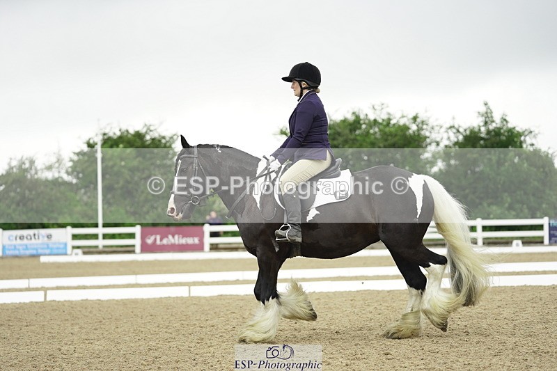 230708A-100106-00267 - Intro C