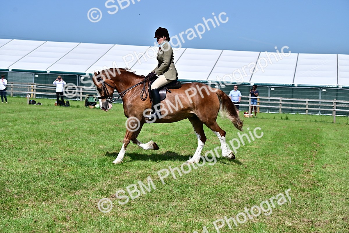 SBM_03748 - Class 58 - TSR  Ridden Veteran Amateur of the year