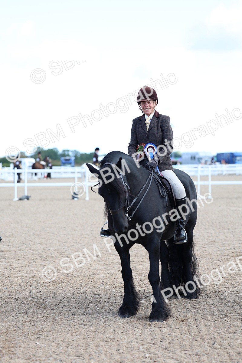 SBM_08966 - Class 302 - Ridden M&M - Large Breeds