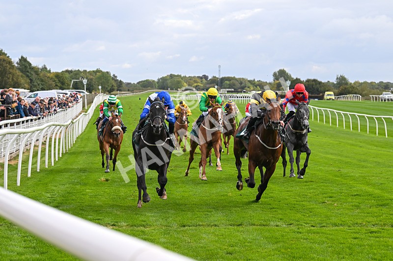 021024-Race 2-Al Hussar-9177 - Race 2