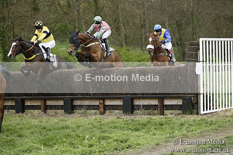 PtP 170417 536 - Old Berks Point-to-Point Lockinge 17/04/17