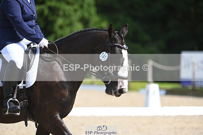 230811-151854-02292 - Cls 2 Prelim Silver 14.45 to End