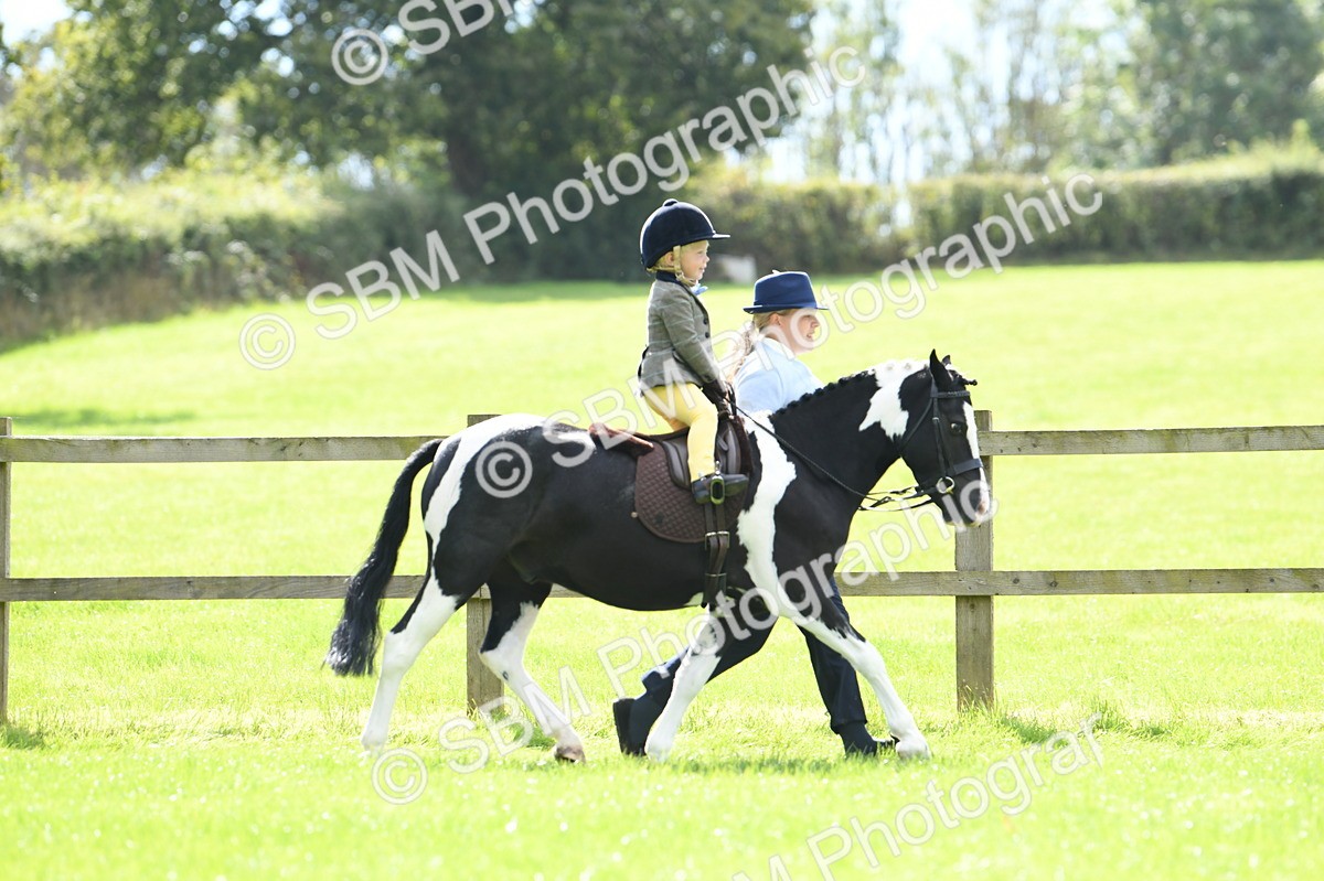 SBM_41154 - S19 - Lead Rein Show & Show Hunter Pony