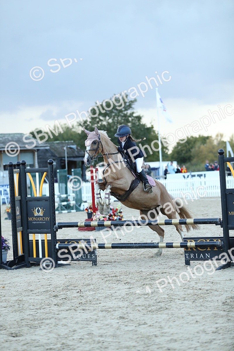 SBM_53682 - Supreme Championship 65cm 70cm