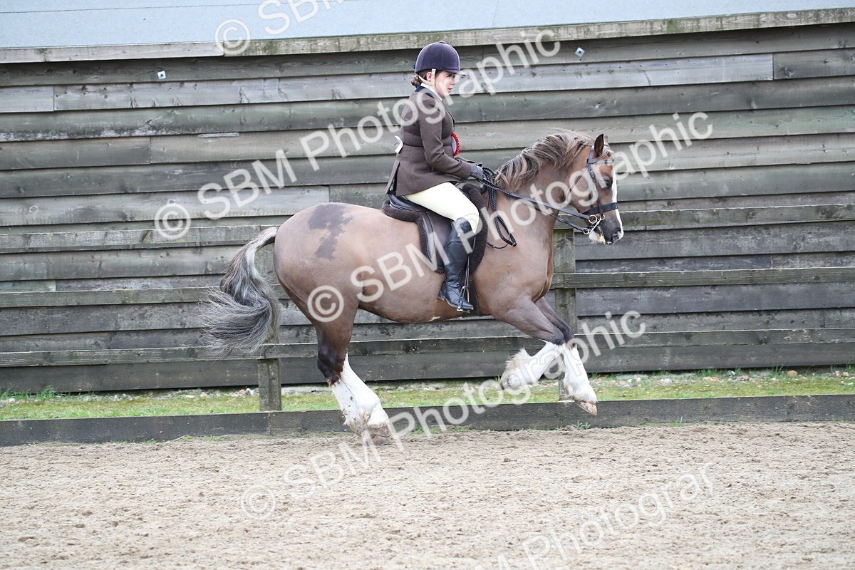 SBM_007070 - Class 10-13 - RIHS Small Large Breeds