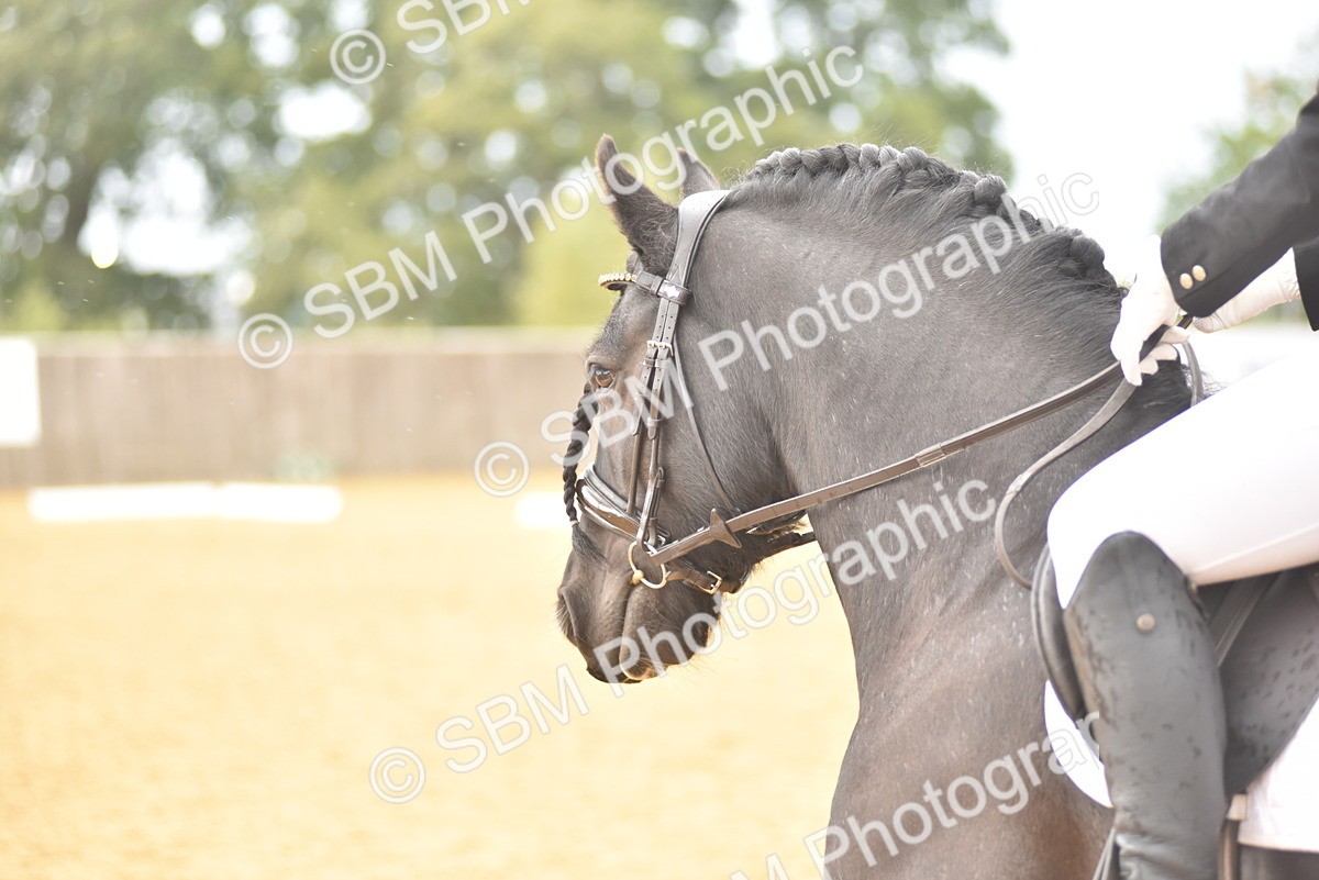 SBM_10117 - D15 - Small Tour Championship Novice 1
