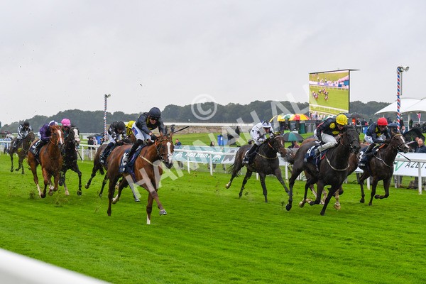 140723-Race 2-Swingalong-0154 - Race 2 2.40pm William Hill Summer Stakes