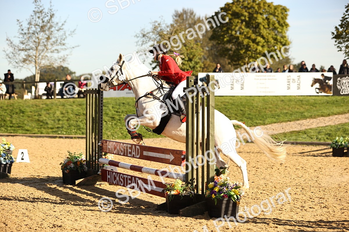 SBM_34688 - J38 - Senior 80cm Championship