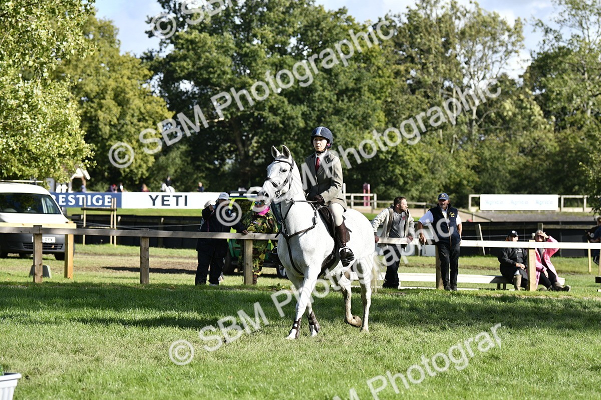 SBM_50015 - S34 - Novice & Newcomers Working Hunter