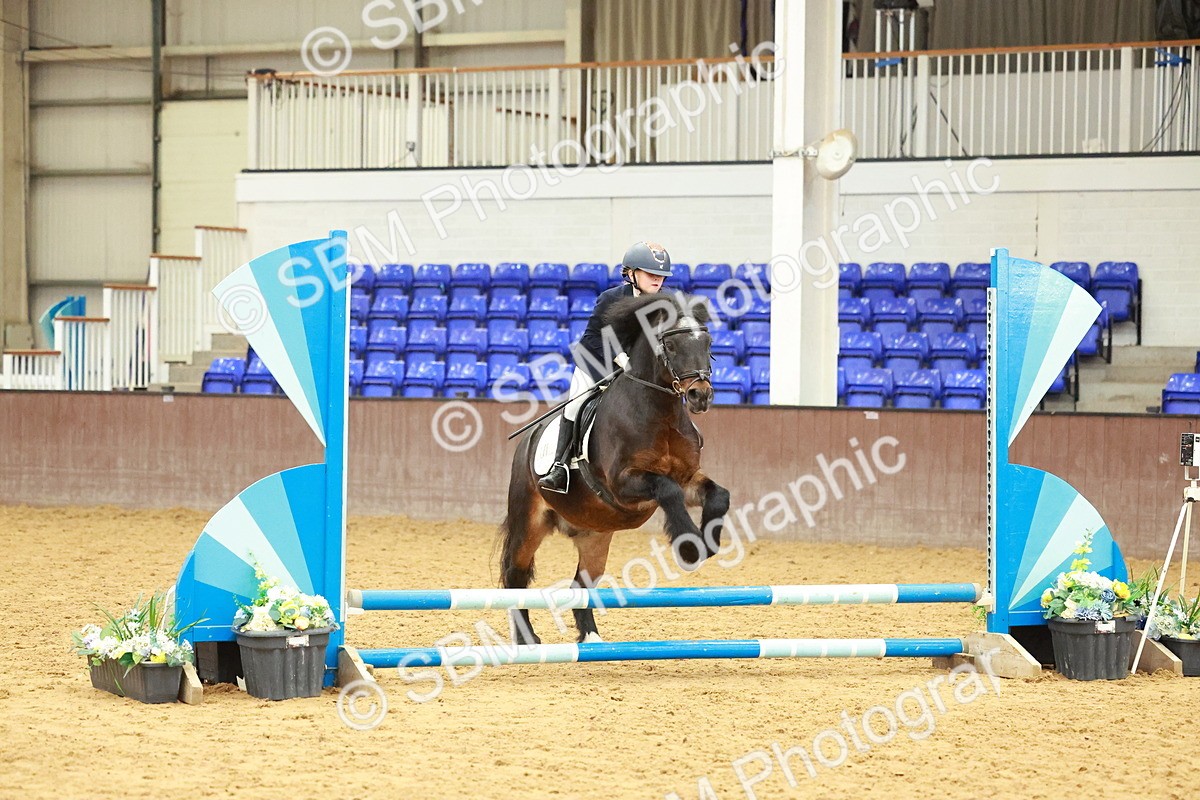 SBM_001295 - Class 2 - 50cm