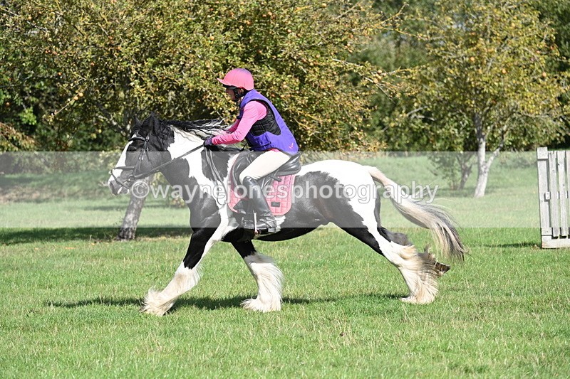 WJ7_0221 - Time 12:53 to 13:03