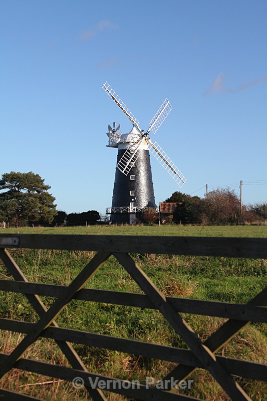 Burnham Ovary - Norfolk
