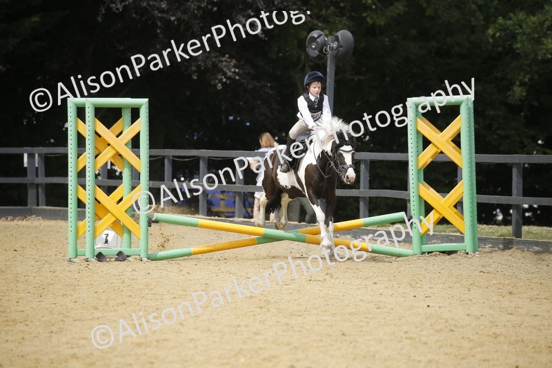 20250622-4623 - 50cm