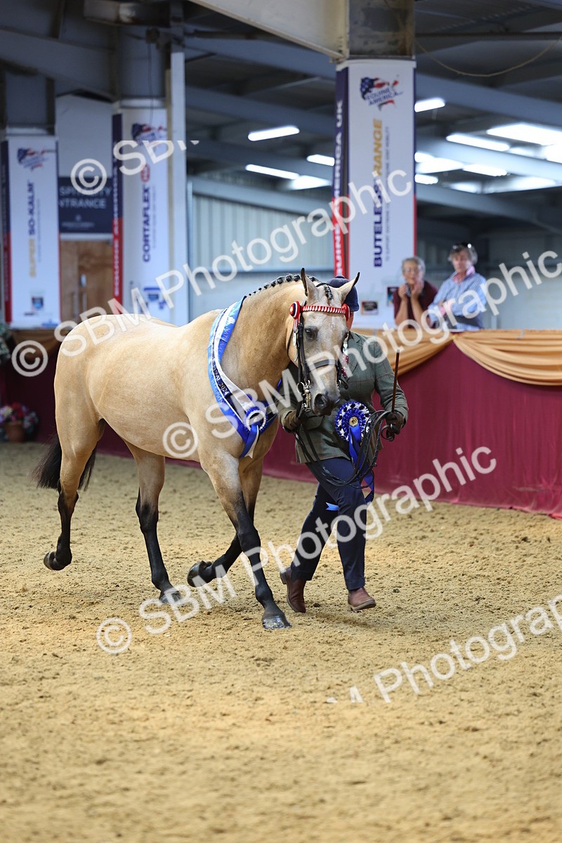 SBM_23266 - Supreme Final - IH Champion