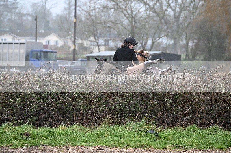 WJ6_6777 - A Camera