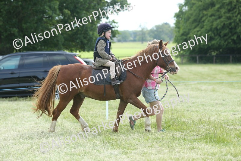 20260614-0158 - Class 1 - 30cm Lead Rein