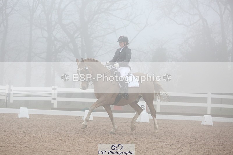 240217A-125932-03008 - 103-Ruth.Saunders-Dizzy.Rascal.VII