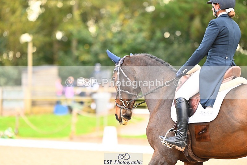 231020-150547-10083 - 312-HALVANNA.THE.LAST.SONG-Holly.Horton-DR