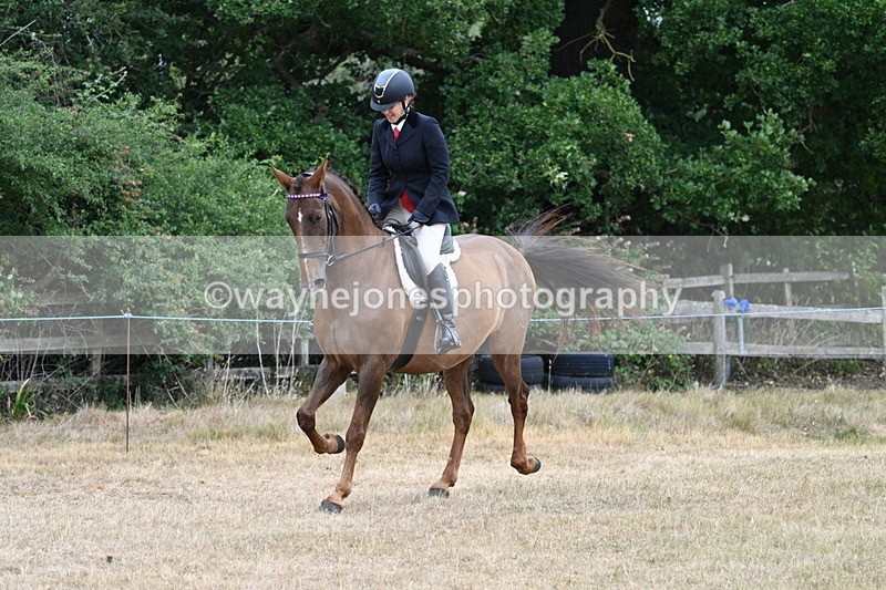 WJ7_0828 - Class 7 Riding Club Show Horse