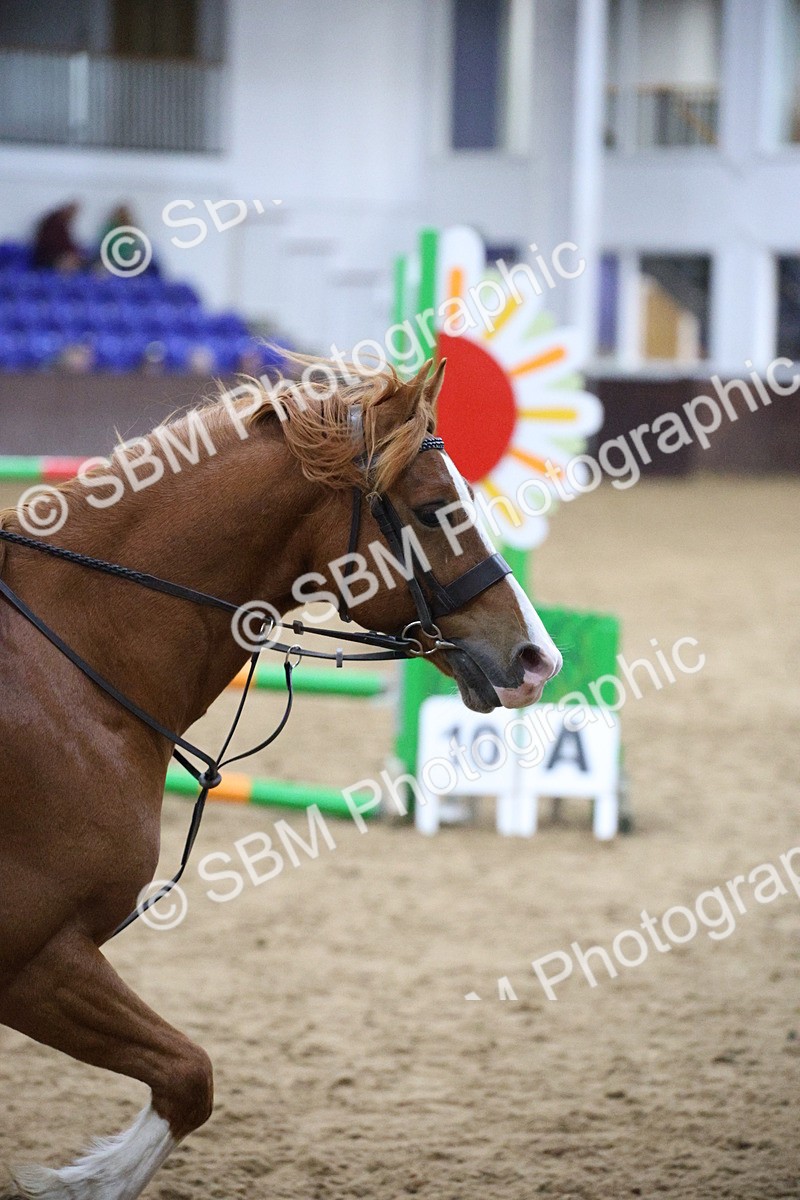 SBM_002707 - Class 7 - 90cm