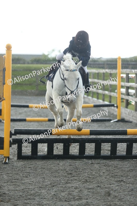 20260412-1933 - Show Jumping