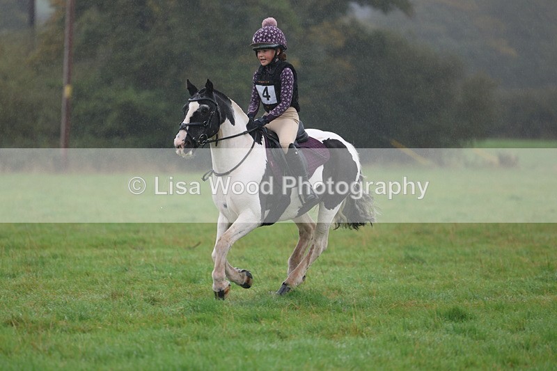 3E7A0805 - Class 1: 65cm: Rails