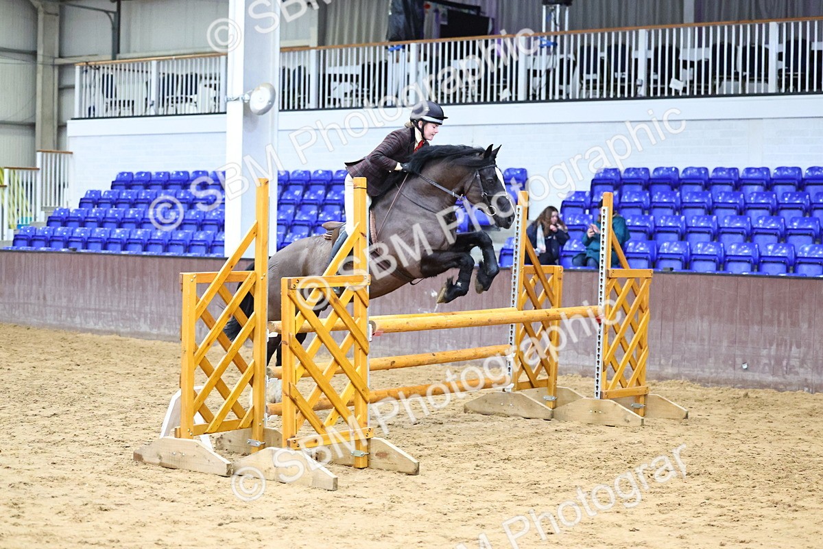 SBM_006567 - Class 43 - RIHS Qualifier Exceeding 43cms