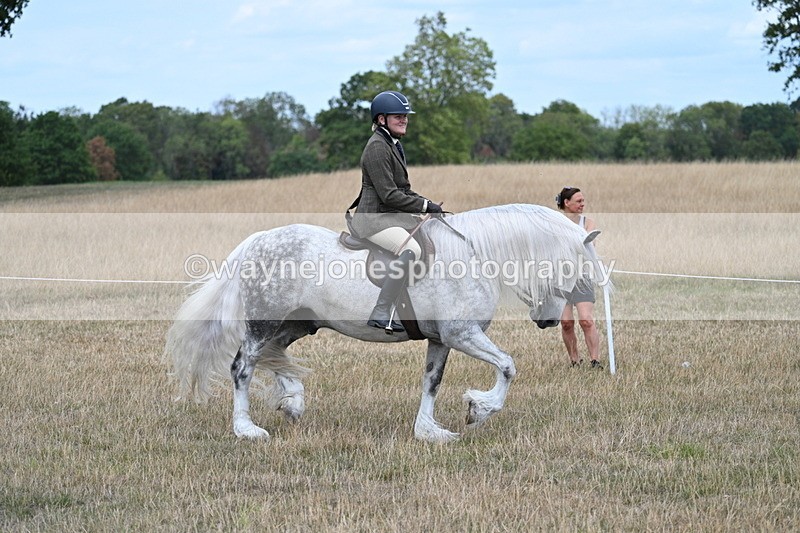 WJ7_4761 - Class 12 Ridden Cob