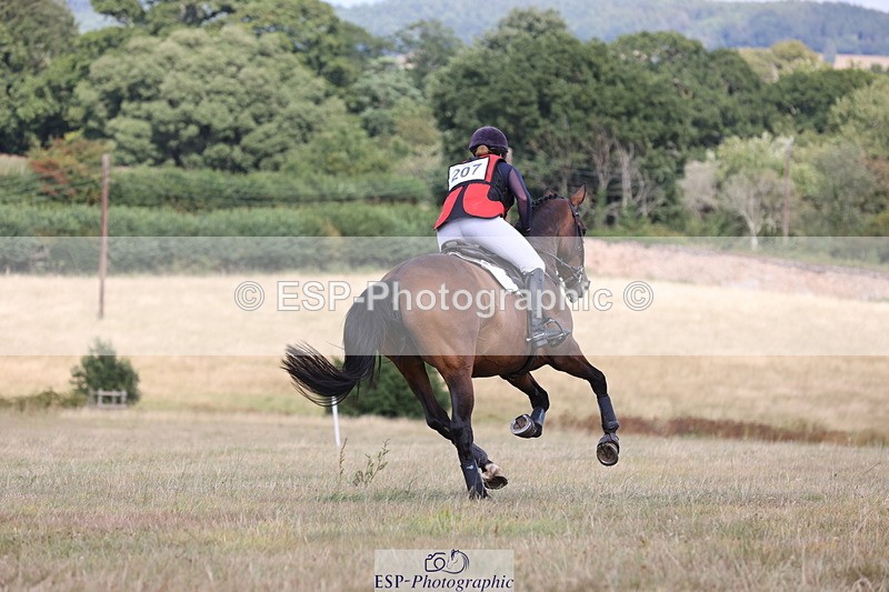 250802A-160215-06922 - E-207-Imogen.Carter-ARDNORE.EPONA