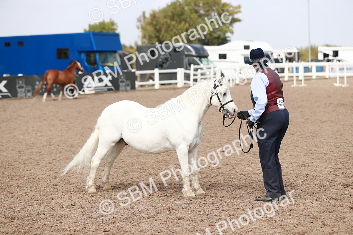 SBM_13931 - Class 209 IH Veteran Pony