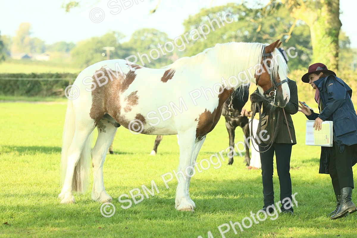 SBM_57522 - S37 - Starters In Hand Showing
