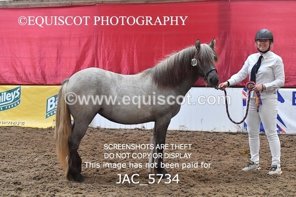 JAC_5734 - 6 Glenmuir Niamh