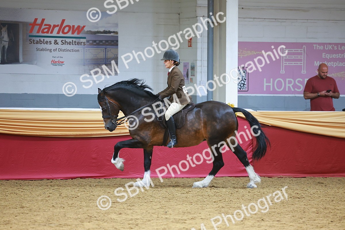 SBM_06076 - Class 12R - Ridden Pre-Vet