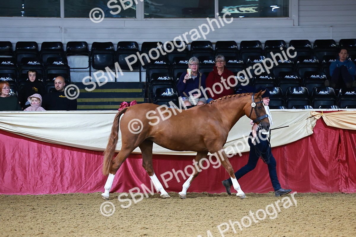 SBM_21726 - Class 901 - Supreme Final - IH  Diamond