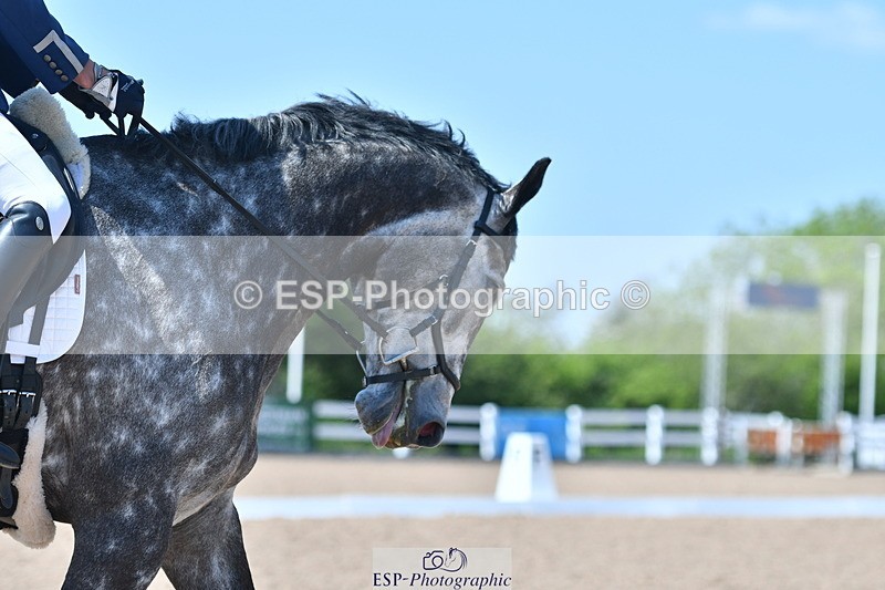 230520A-142725-01500 - Cls 7 Novice 34