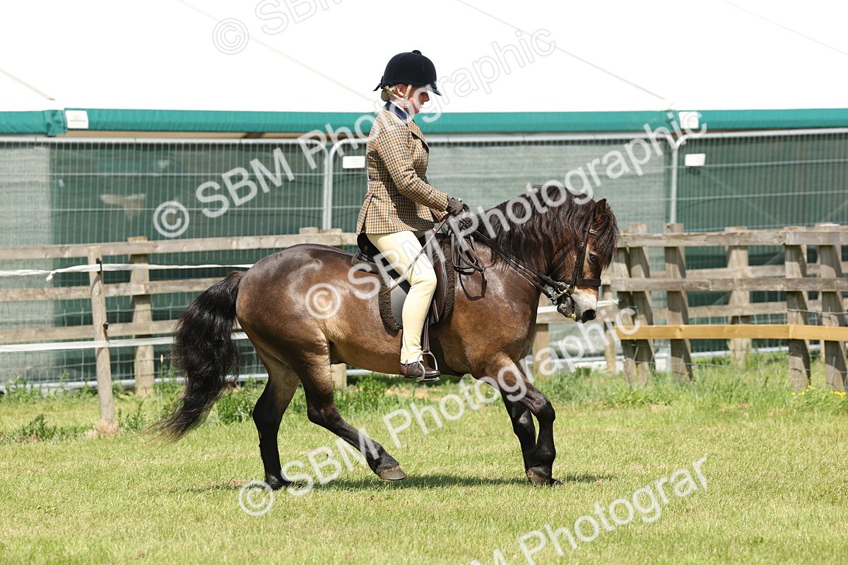 SBM_06818 - Class 26-30 - Mountain and Moorland Ridden