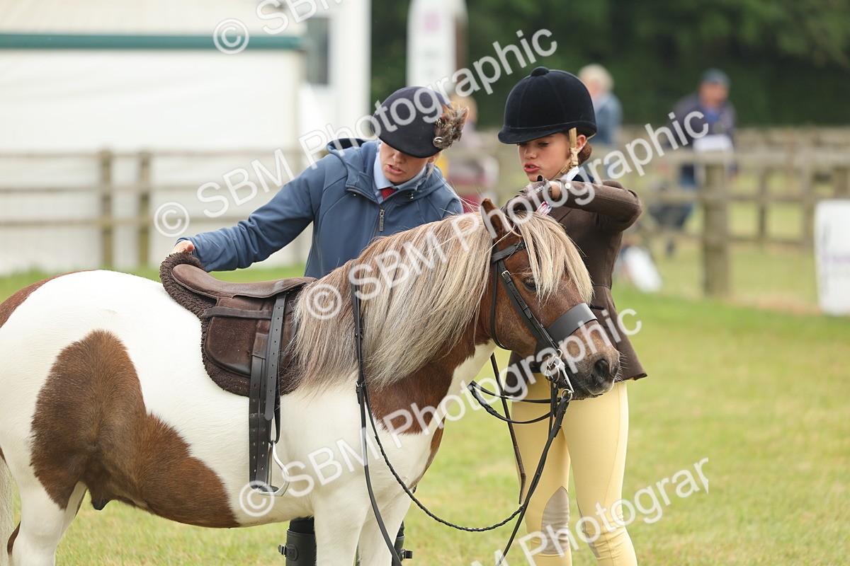 SBM_08904 - Class 78-80 - Ridden M&M Non Welsh Ponies