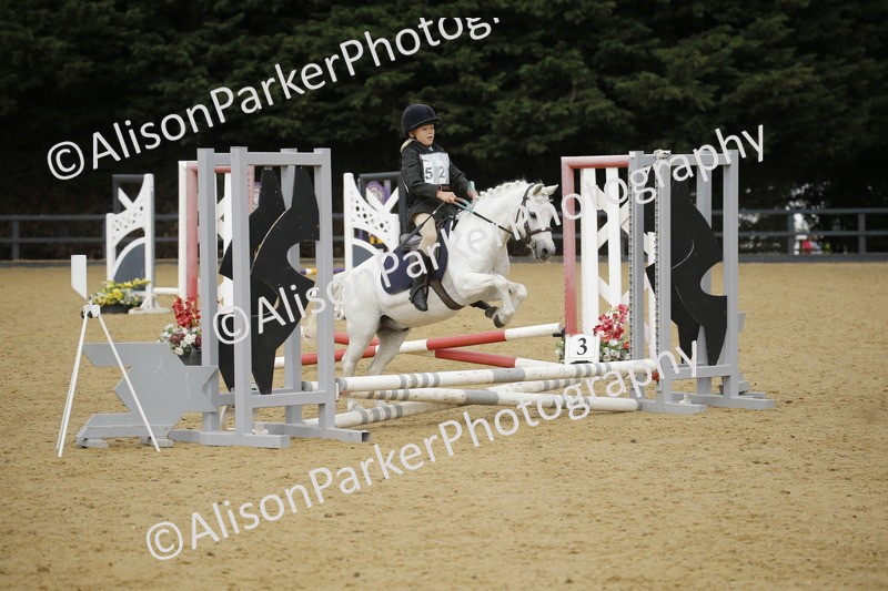 20250622-1483 - 40cm