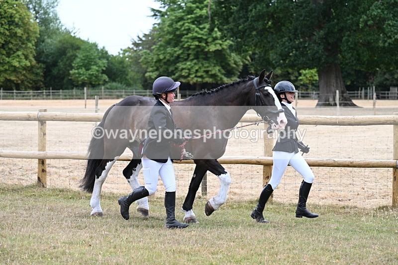 WJ7_8937 - Class 4a Prettiest Mare 14.2hh and over