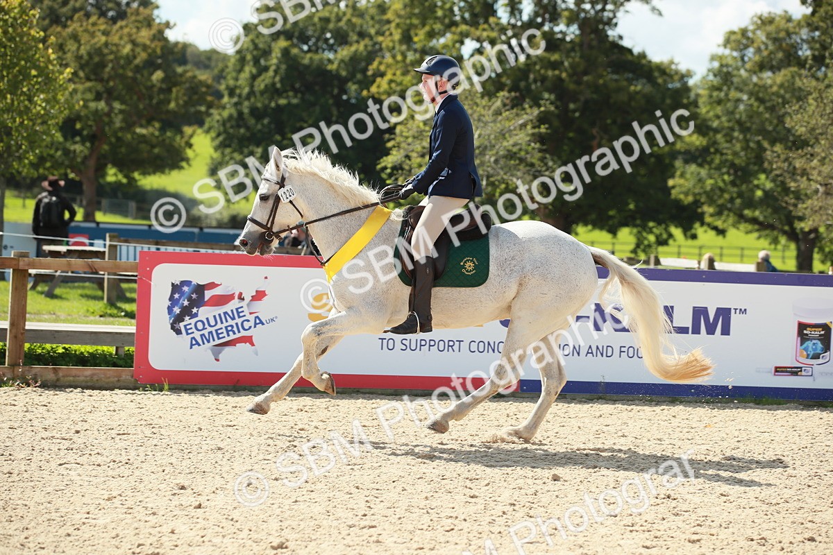 SBM_25471 - J28 Senior 60cm Championship